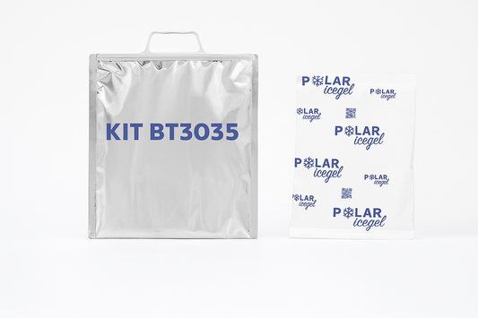 10 30x35 thermal bags with handle and synthetic ice.